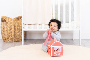 Montessori Learning Kit 6-12 Months