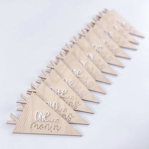 Pennant Baby Monthly Markers