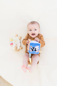 Montessori Developmental Toys 0-6 Months
