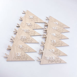 Pennant Baby Monthly Markers