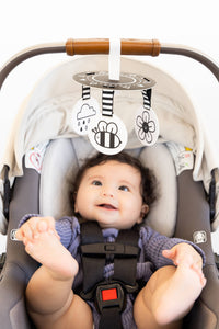 Montessori Developmental Toys 0-6 Months