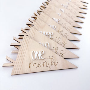 Pennant Baby Monthly Markers