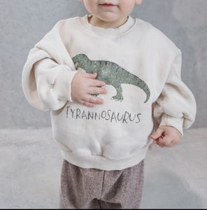 Tyrannosaurus Sweatshirt