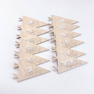 Pennant Baby Monthly Markers