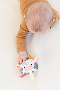 Montessori Developmental Toys 0-6 Months