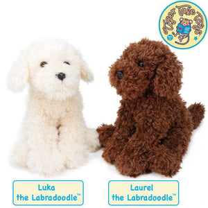 Laurel The Labradoodle