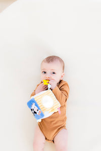 Montessori Developmental Toys 0-6 Months
