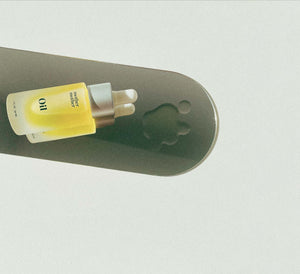 Face + Belly Oil