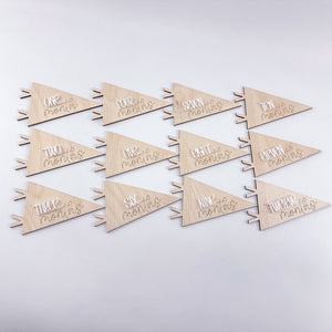 Pennant Baby Monthly Markers