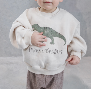 Triceratops Sweatshirt