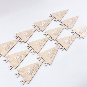 Pennant Baby Monthly Markers
